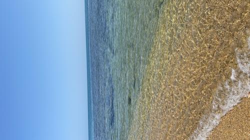 294217e8-f10d-4181-a59f-7c82d891cc74-1