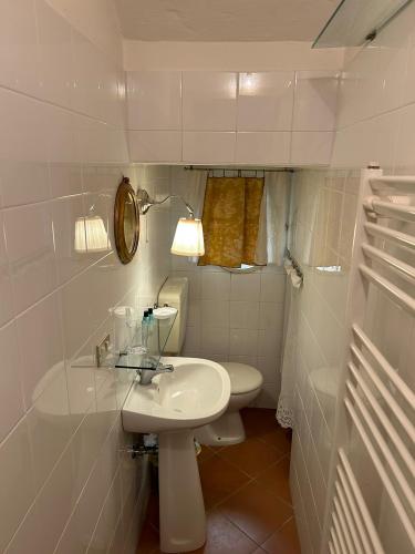 whatsapp_image_2023-02-04_at_19