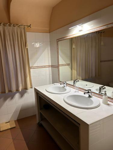 whatsapp_image_2023-02-04_at_19